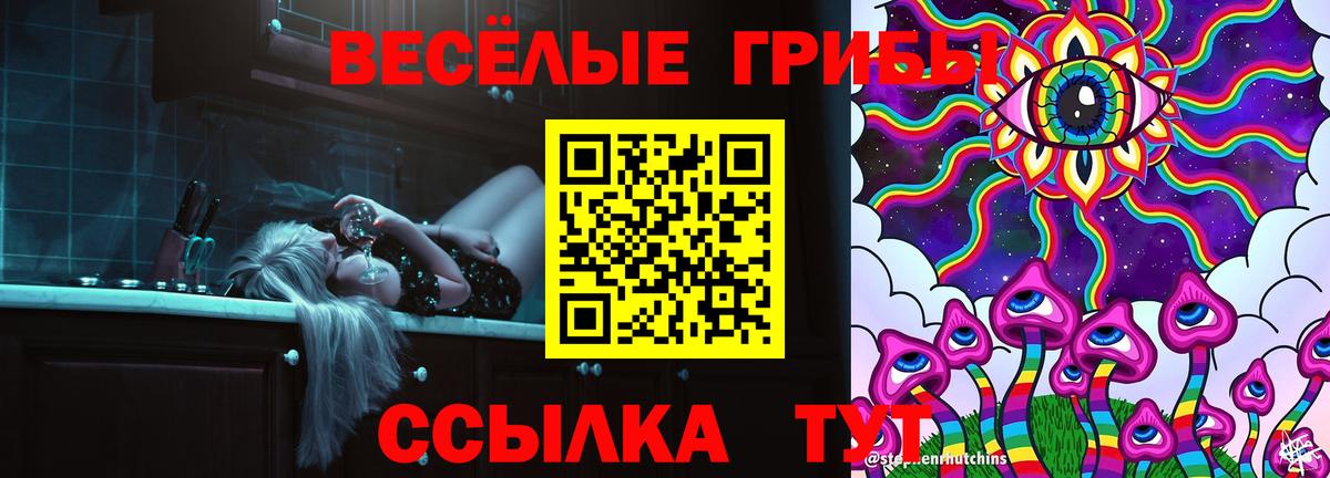 купить наркотик  Галлюциногенные грибы Cubensis  Вход с VPN  Благодарный 